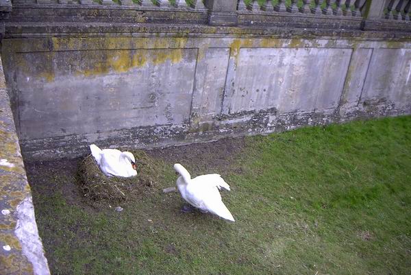 Bia�ystok 2007-04-19