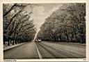 Danzig - Hindenburg Allee